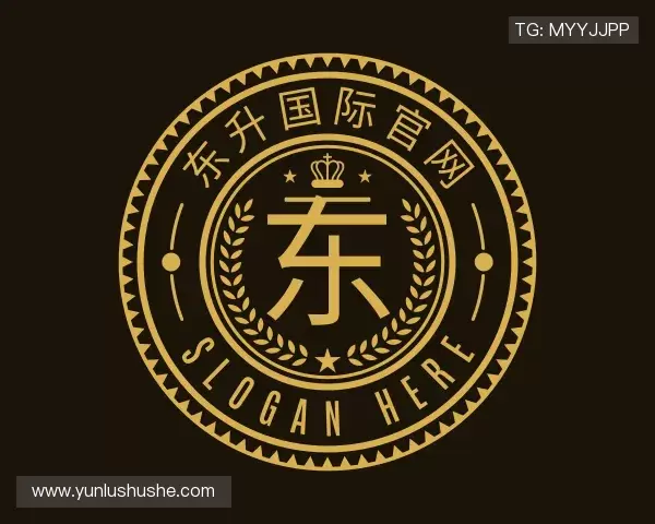 介绍东升国际官网